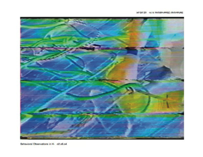 Still 2.jpg